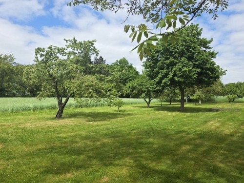 Sommerhus - 6 personer -  - 03205 - Calau, Ot Werchow