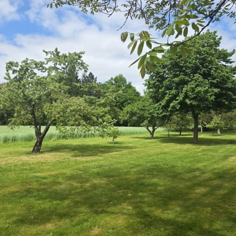 Sommerhus - 6 personer -  - 03205 - Calau, Ot Werchow