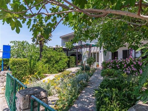 Ferieleilighet - 3 personer -  - 17. travnja - 51521 - Punat