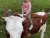 Billede 3