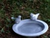 Image 14