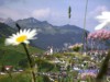 Bild 17