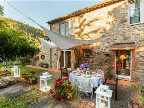 Villa - 6 persons -  - 55012 - Capannori