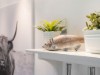Bild 22