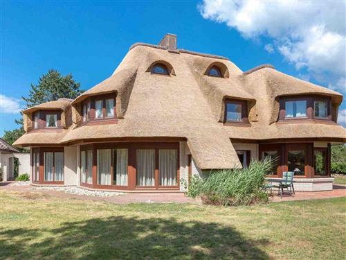 Ferienhaus - 4 Personen -  - Störweg - 25826 - St. Peter-Ording