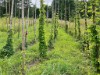 Bild 18 - Ude