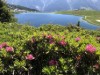 Bild 22