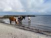 Bild 13
