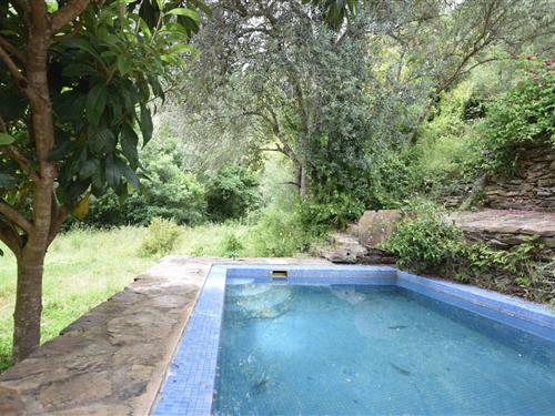 Holiday Home/Apartment - 2 persons -  - 7630-435 - Sao Luís
