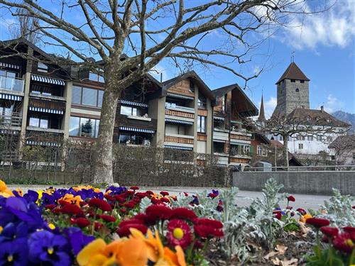 Ferienwohnung - 4 Personen -  - Spiez - 3700