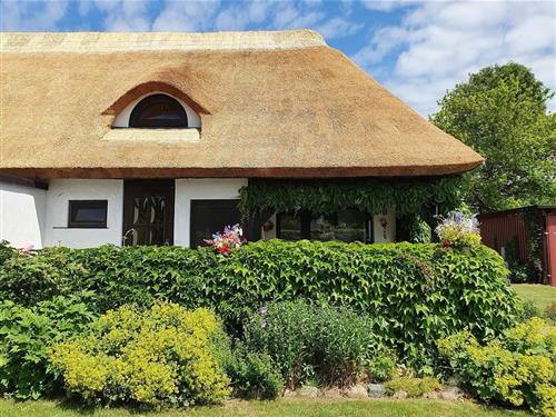 Sommerhus - 4 personer -  - Strandweg - 18211 - Börgerende