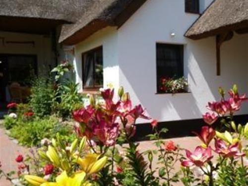 Ferielejlighed - 2 personer -  - Althäger - 18347 - Ahrenshoop