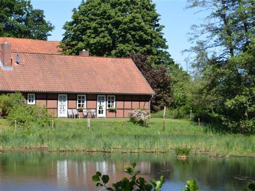 Holiday home - 5 persons -  - Thomasburg - 21401