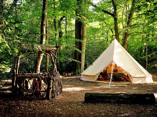 Chalet - 6 persons -  - RG20 9XR - Woolton Hill