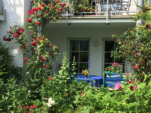 Ferielejlighed - 3 personer -  - Rämel - 18374 - Ostseeheilbad Zingst