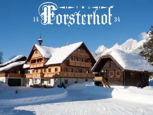 Bondegård - 4 personer -  - Ramsau - 8972 - Ramsau Am Dachstein