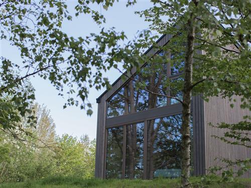 Sommerhus - 2 personer -  - Schleiden - 53937