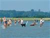 Billede 57 - Udsigt over vand