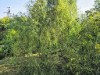 Image 15 - Outside