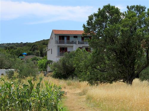 Ferielejlighed - 4 personer -  - Put Ugrinica 53, Ugrinici - 23212 - Tkon