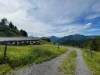 Bild 62