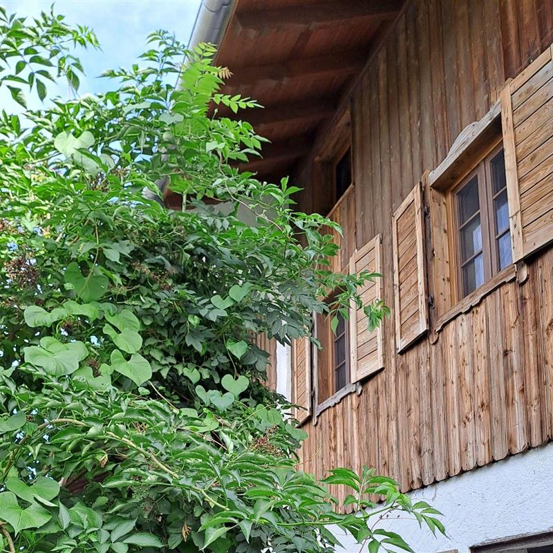 Bondegård - 3 personer -  - Burgstraße - 83627 - Warngau