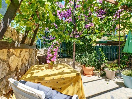 Ferielejlighed - 2 personer -  - Jamina - 51550 - Mali Losinj