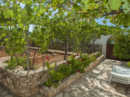 Holiday home - 6 persons -  - 20270 - Vela Luka