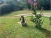 Bilde 8