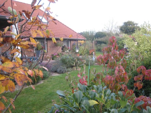 Ferienwohnung - 4 Personen -  - Vogelbeerweg - 24963 - Tarp