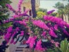 Bilde 6