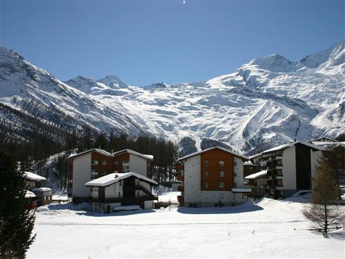 Ferienhaus - 4 Personen -  - Grosses Moos - 3906 - Saas-Fee