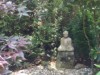 Image 24