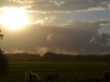 Afbeelding 4