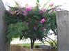 Image 39 - Outside