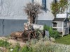 Bilde 36