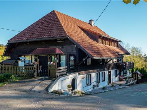 Holiday Home/Apartment - 2 persons -  - 79875 - Dachsberg