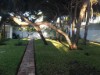 Bild 13 - Aussen