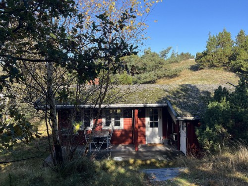 Ferienhaus - 4 Personen -  - Ved Skoven - Sydvestjylland - 6720
