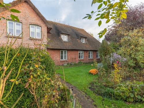 Ferienwohnung - 6 Personen -  - Parkweg - 25889 - Witzwort