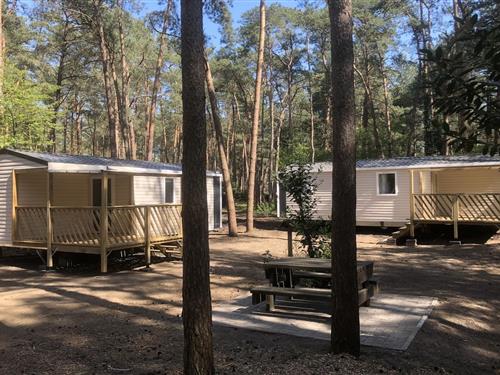 Chalet - 4 personer -  - 2275 - Wechelderzande (Lille)