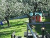 Bild 17
