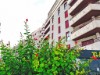 Bilde 15 - Ude