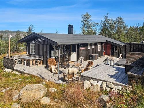 Sommerhus - 8 personer -  - Dagalivegen - 3588 - Dagali