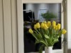 Bilde 29