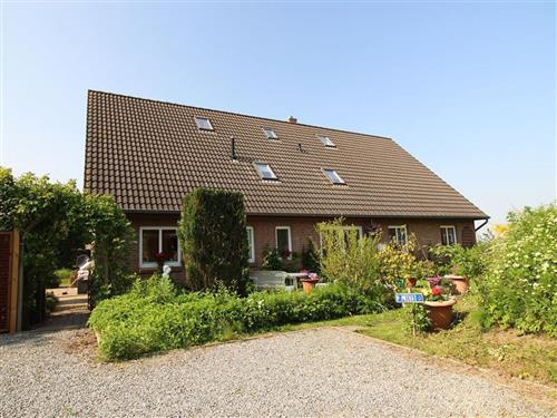 Ferienhaus - 4 Personen -  - Westmarken - 25826 - St. Peter-Ording