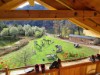 Bild 64