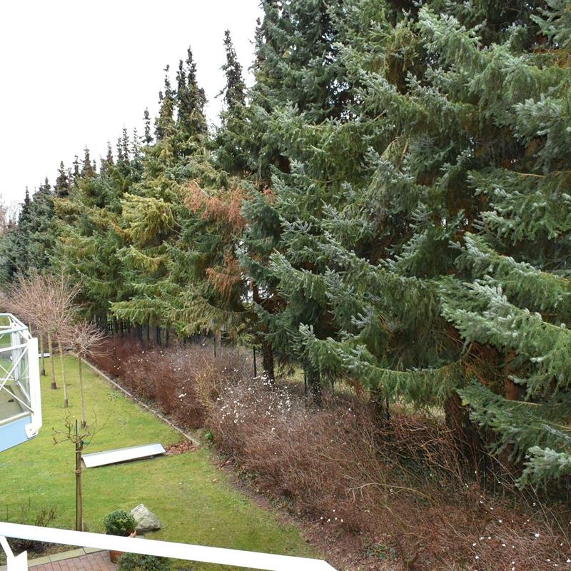 Ferielejlighed - 4 personer -  - Ostseeallee - 23669 - Niendorf/Ostsee