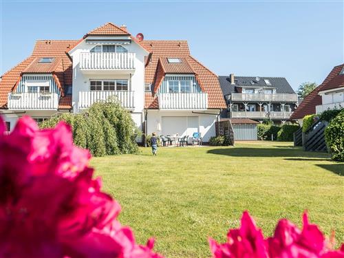 Holiday Home/Apartment - 4 persons -  - Alte Reihe - 18374 - Zingst