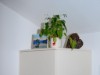 Bilde 6